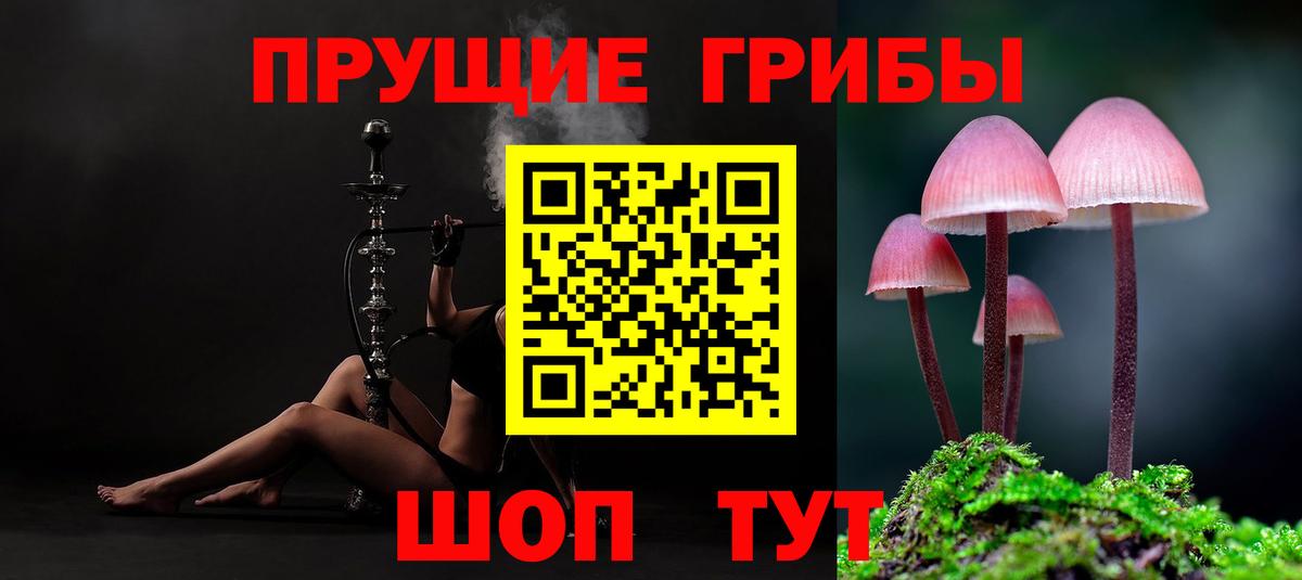 Галлюциногенные грибы ЛСД Бийск