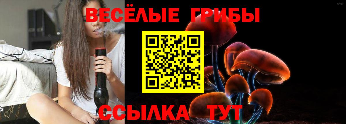 наркошоп  Вход с VPN  Бийск  Псилоцибиновые грибы мицелий  Псилоцибиновые грибы мицелий 